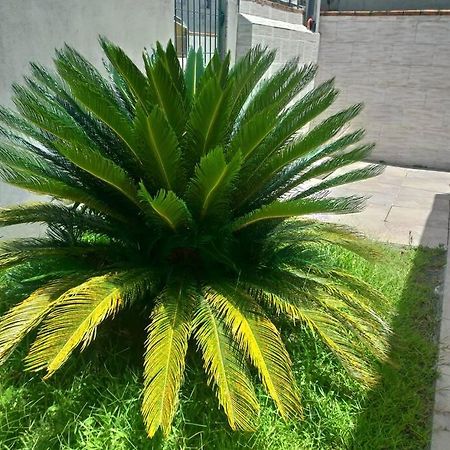 Casa Agradavel Em Camboriu Com Estacionamento No Patio Villa Dış mekan fotoğraf