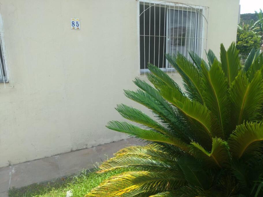 Casa Agradavel Em Camboriu Com Estacionamento No Patio Villa Dış mekan fotoğraf