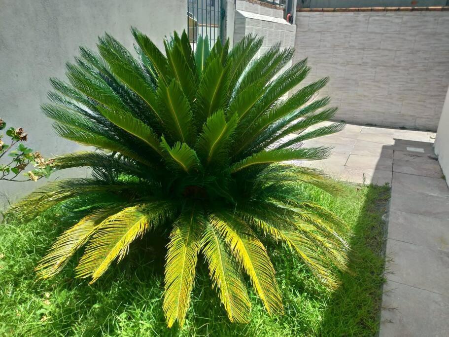 Casa Agradavel Em Camboriu Com Estacionamento No Patio Villa Dış mekan fotoğraf